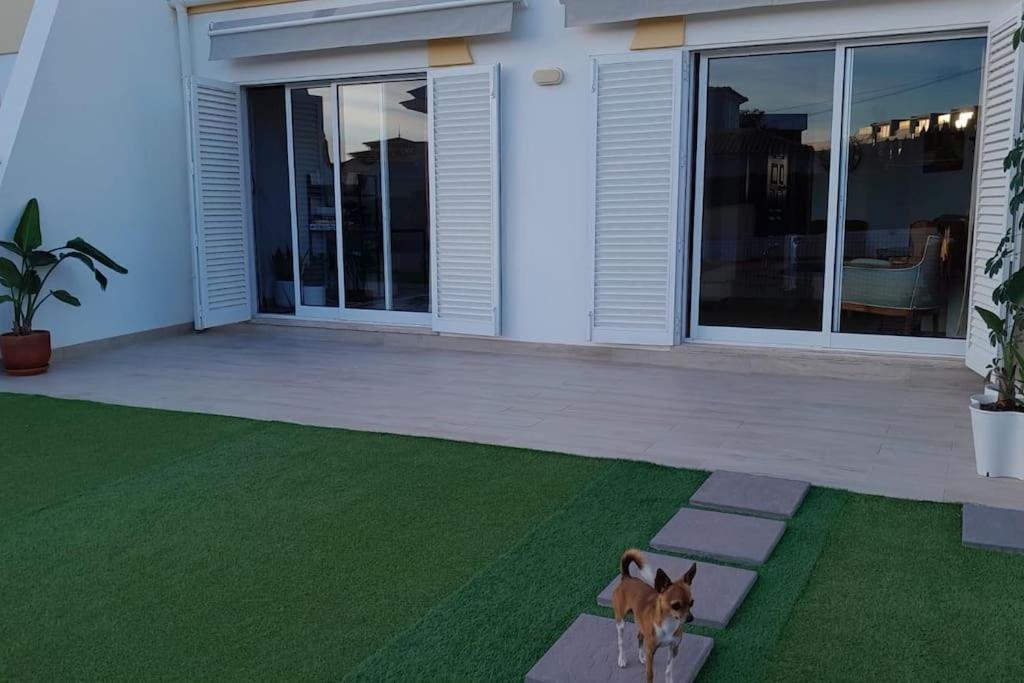 Gale Premium House - Pet Friendly Villa Albufeira Kültér fotó
