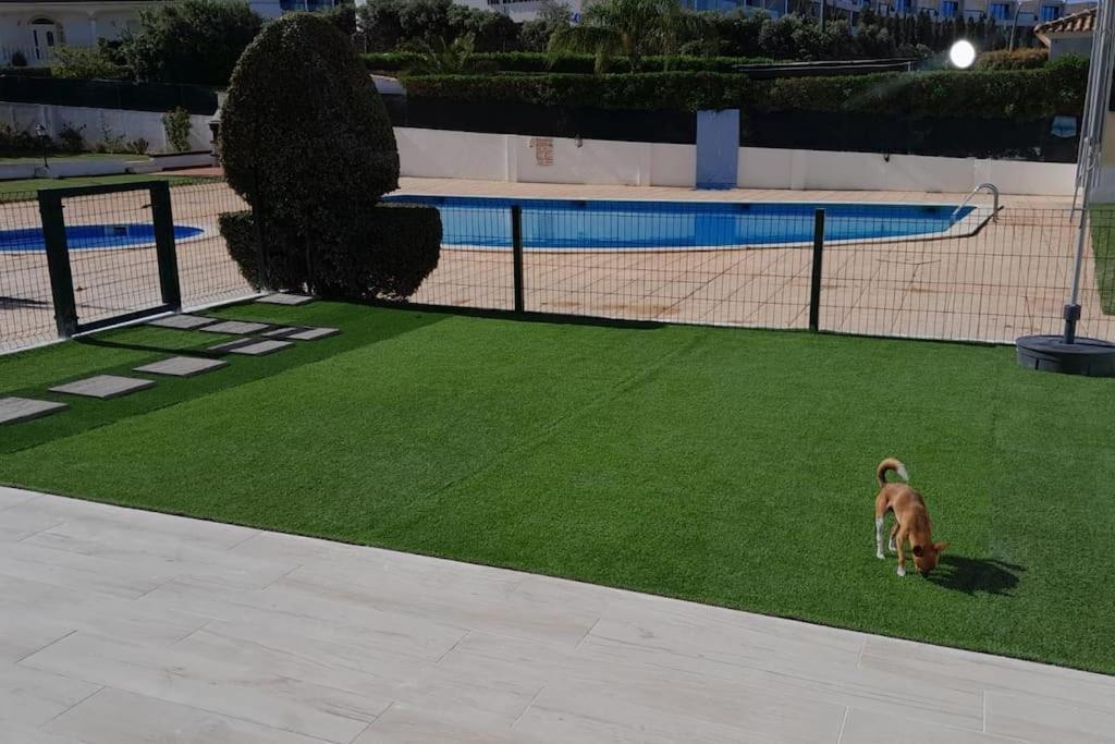 Gale Premium House - Pet Friendly Villa Albufeira Kültér fotó
