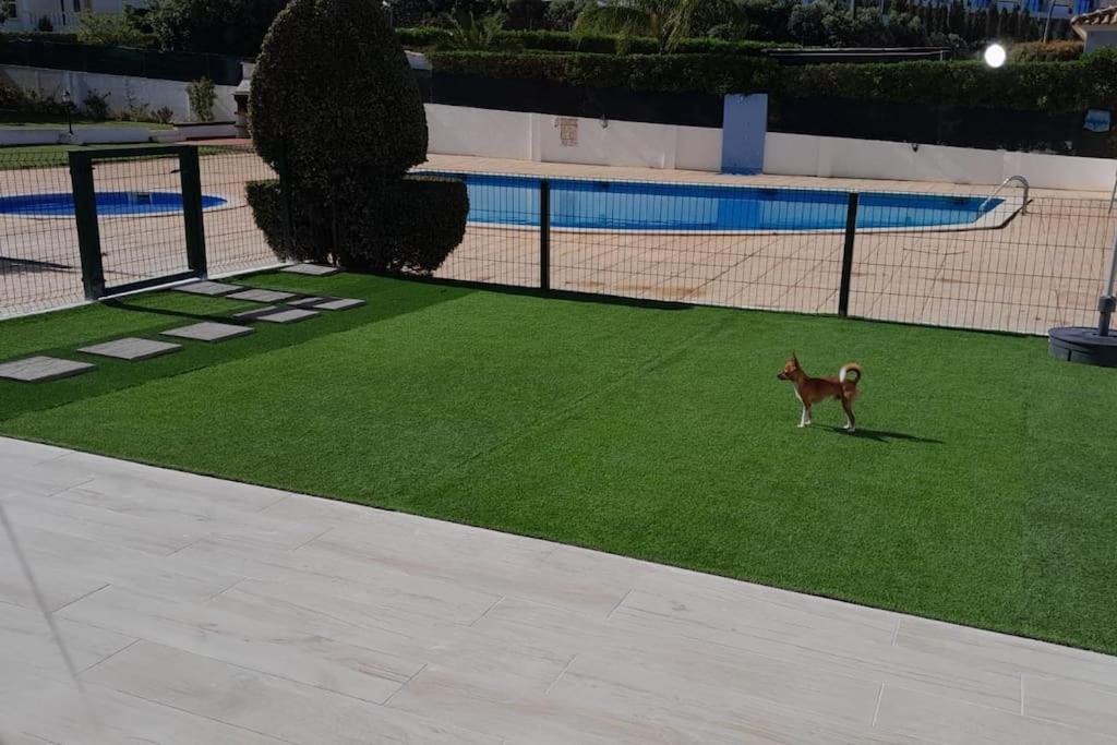 Gale Premium House - Pet Friendly Villa Albufeira Kültér fotó